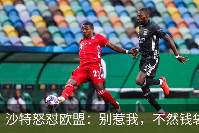 沙特怒怼欧盟：别惹我，不然钱袋子扔翻你！